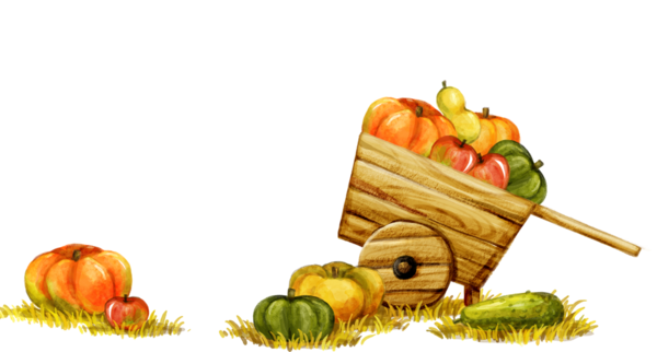 Transparent Pumpkin Painting Fruit Cuisine Vegetarian Food for Thanksgiving