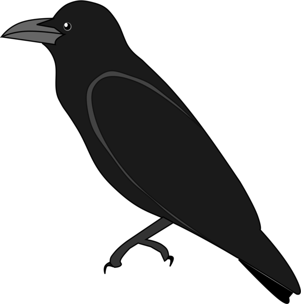 Transparent American Crow Rook New Caledonian Crow Bird Beak for Halloween