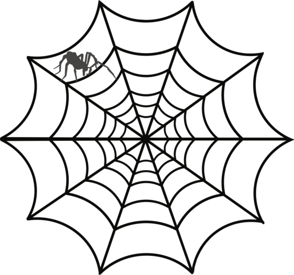 Transparent Spider Spider Web Drawing Line Art Plant for Halloween