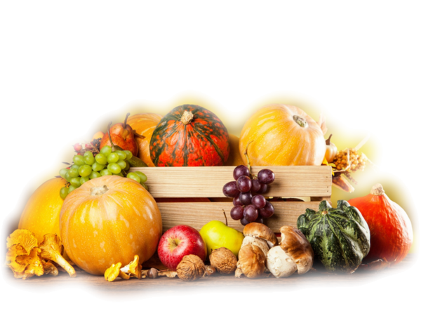 Transparent Vegetable Food Chicken Natural Foods for Thanksgiving