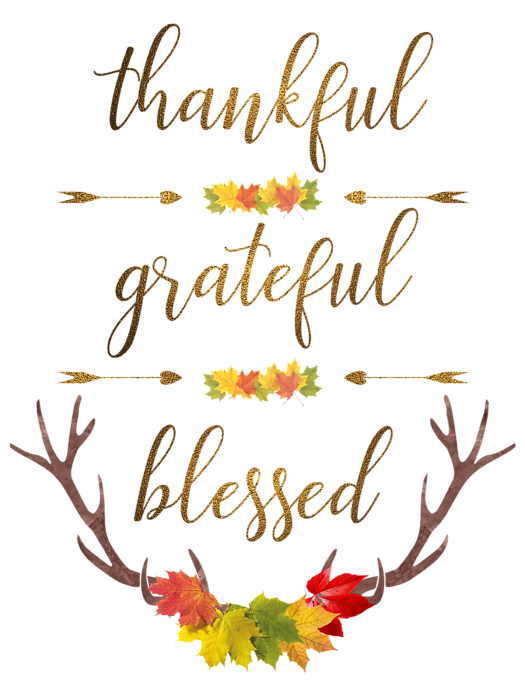 Transparent Floral Design
 Thanksgiving
 Gratitude
 Text Leaf for Thanksgiving