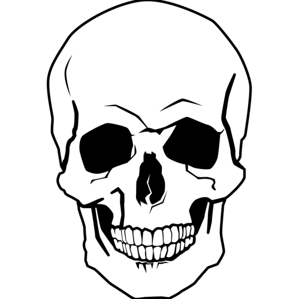 Transparent Drawing Human Skull Skull Face White for Halloween