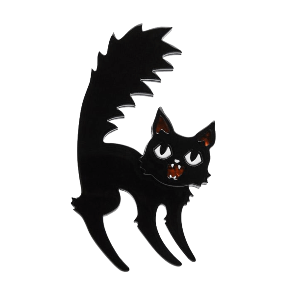 Transparent Brooch Earring Jewellery Cat Black Cat for Halloween