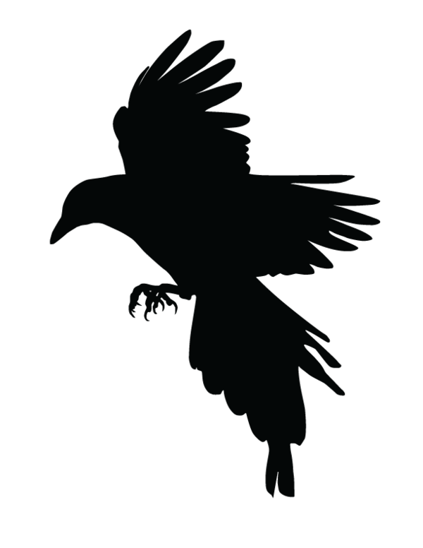 Transparent Magpie Eurasian Magpie Logo Bird Eagle for Halloween