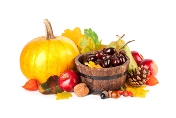 Transparent Crop Yield Autumn Pumpkin Vegetarian Food Food for Thanksgiving