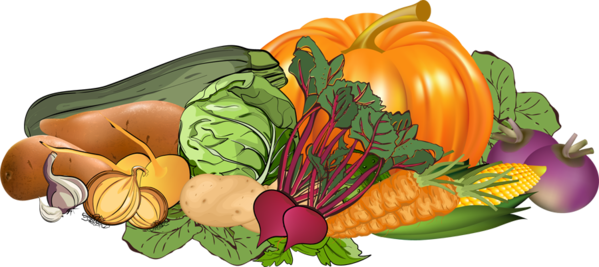 Transparent Vegetable Fruit Vegetable Farming Superfood Plant for Thanksgiving