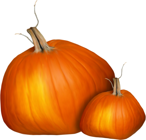 Transparent Jacko Lantern Calabaza Pumpkin Commodity Gourd for Halloween