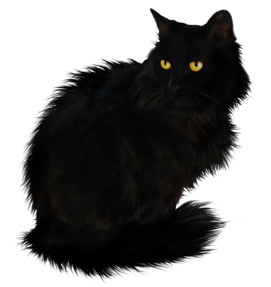 Transparent Cat Black Cat Halloween Snout Maine Coon for Halloween