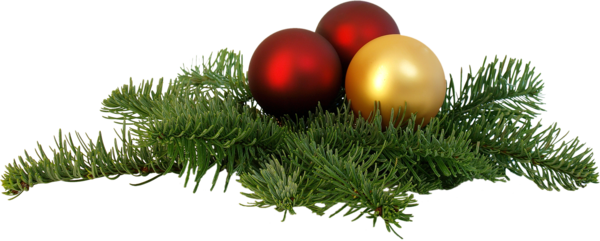 Transparent Santa Claus
 Christmas
 Christmas Ornament
 Fir Pine Family for Thanksgiving