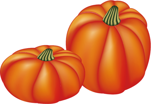 Transparent Pumpkin Gourd Winter Squash Natural Foods Vegetable for Thanksgiving