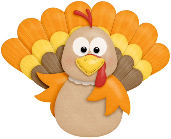 Transparent Thanksgiving
 Turkey Meat
 Drawing
 Orange Beak for Thanksgiving