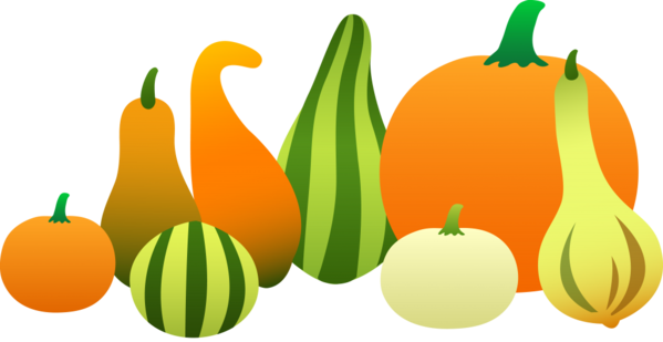 Transparent Gourd Pumpkin Vegetable Fruit for Thanksgiving