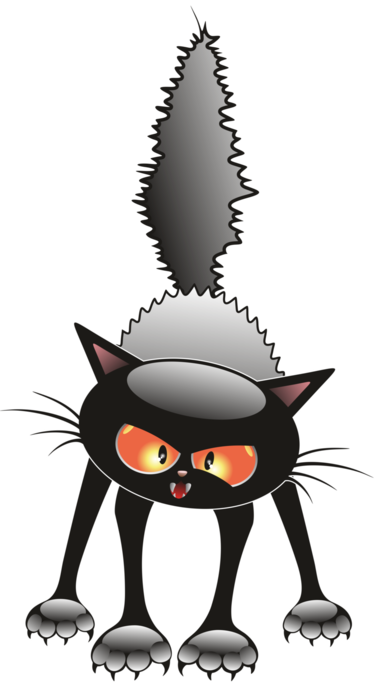 Transparent Cat Black Cat Kitten Black for Halloween