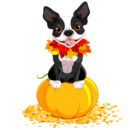 Transparent Boston Terrier Airedale Terrier French Bulldog Companion Dog for Halloween