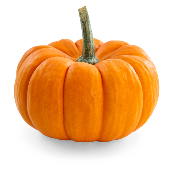 Transparent Pumpkin Food Gourd Calabaza Winter Squash for Halloween