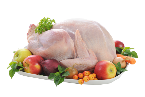 Transparent Chicken Raw Foodism Meat Food Turkey Meat for Thanksgiving