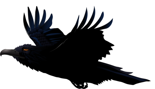 Transparent Common Raven Crow Raven Bird for Halloween
