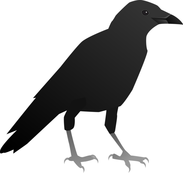 Transparent American Crow New Caledonian Crow Crow Crow Like Bird for Halloween