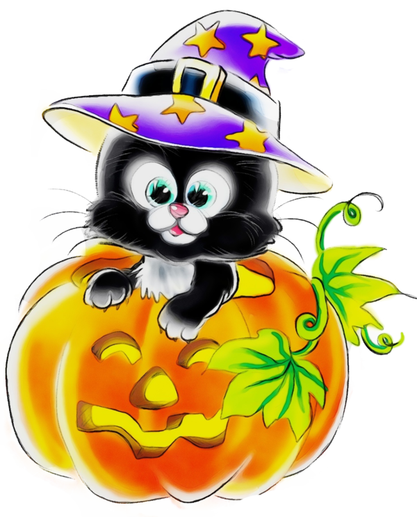 Transparent Witch Hat Black Cat Plant for Halloween