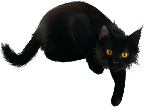 Transparent Black Cat Bombay Cat Kitten Cat for Halloween