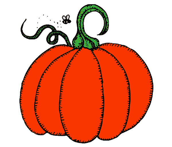 Transparent Pumpkin Drawing Crookneck Squash Fruit Food for Halloween