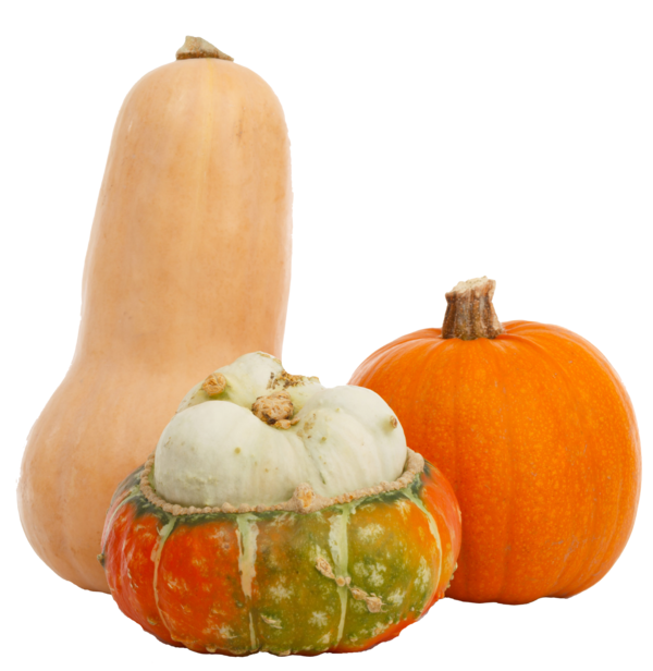 Transparent Pumpkin Gourd Vegetarian Cuisine Vegetable Winter Squash for Thanksgiving