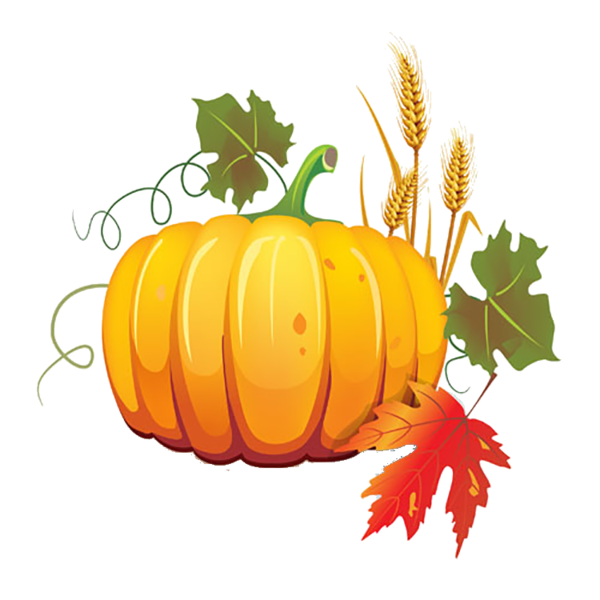 Transparent Pumpkin Autumn Harvest Winter Squash Vegetarian Food for Halloween