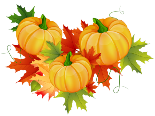 Transparent Thanksgiving Pumpkin Cornucopia Natural Foods Vegetable for Thanksgiving