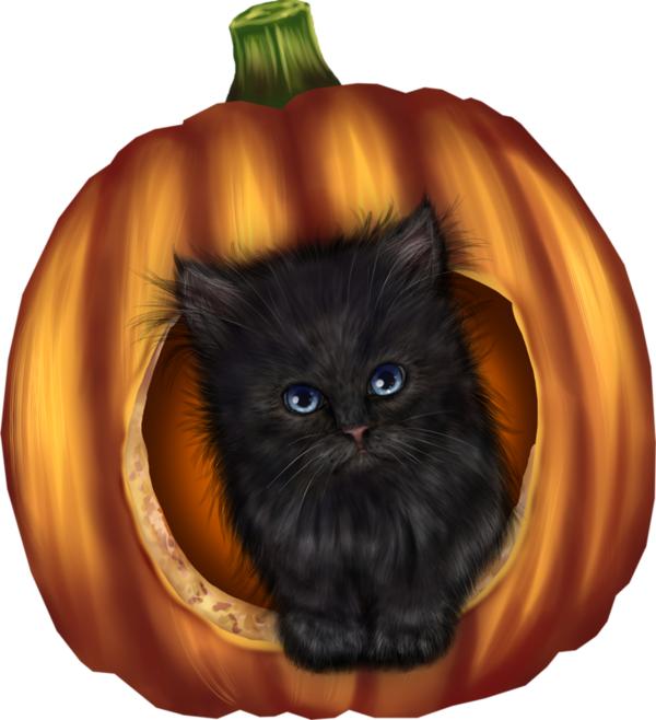 Transparent Whiskers Halloween Cat for Halloween