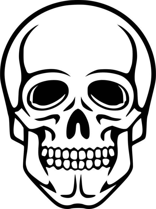 Transparent Skull Human Skeleton Skeleton Line Art Head for Halloween