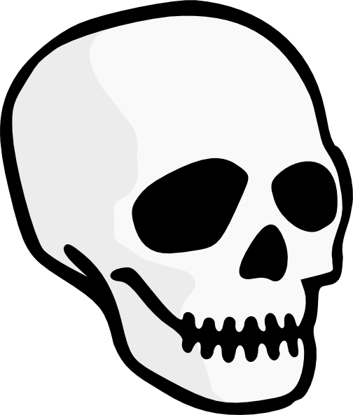 Transparent Skull Human Skeleton Black And White Line Art Head for Halloween