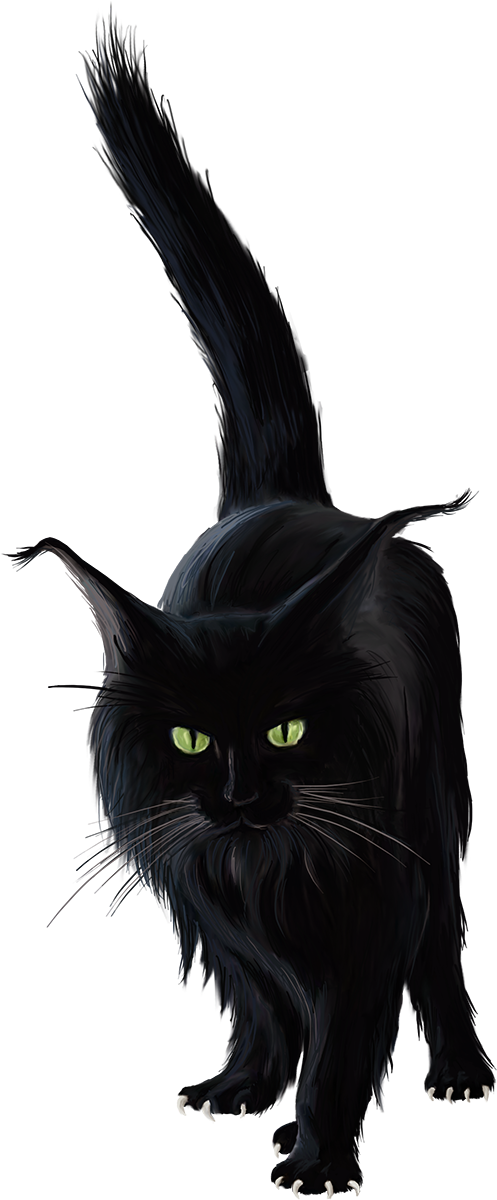 Transparent Bombay Cat Black Cat Norwegian Forest Cat Cat for Halloween