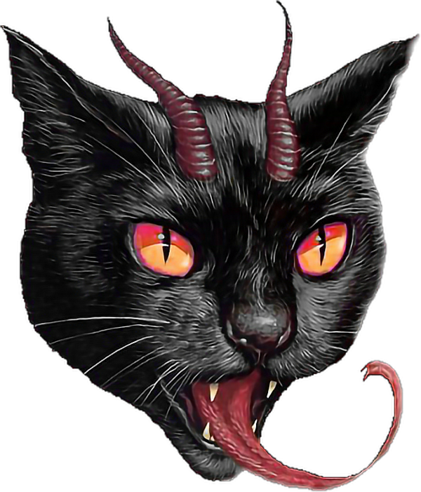 Transparent Sphynx Cat Donskoy Devon Rex Cat Black Cat for Halloween