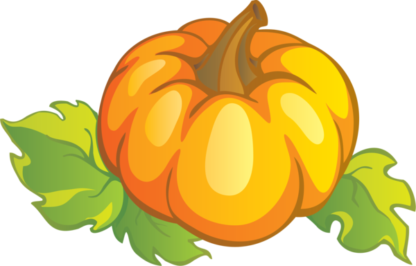 Transparent Pumpkin Cucurbita Vegetable Winter Squash Flower for Halloween