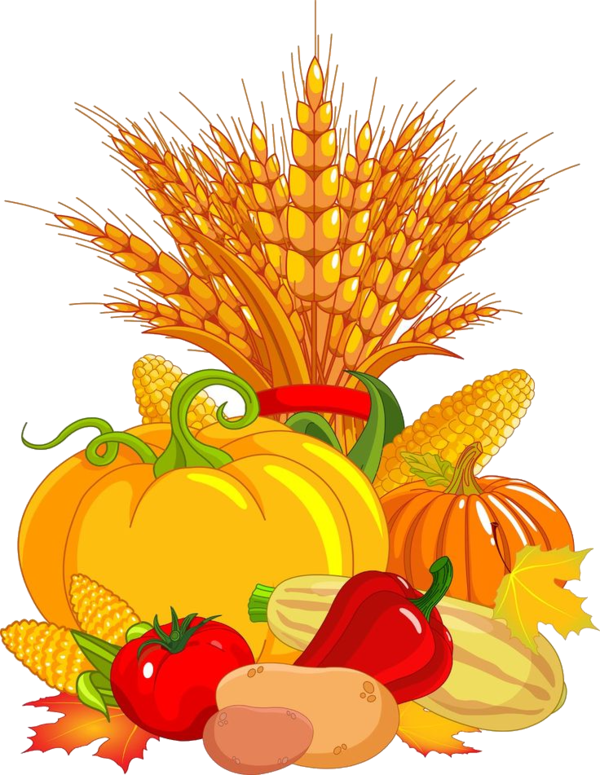 Transparent Harvest Festival Thanksgiving Festival Natural Foods Pineapple for Thanksgiving