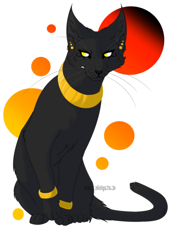 Transparent Black Cat Cat Adrien Agreste for Halloween