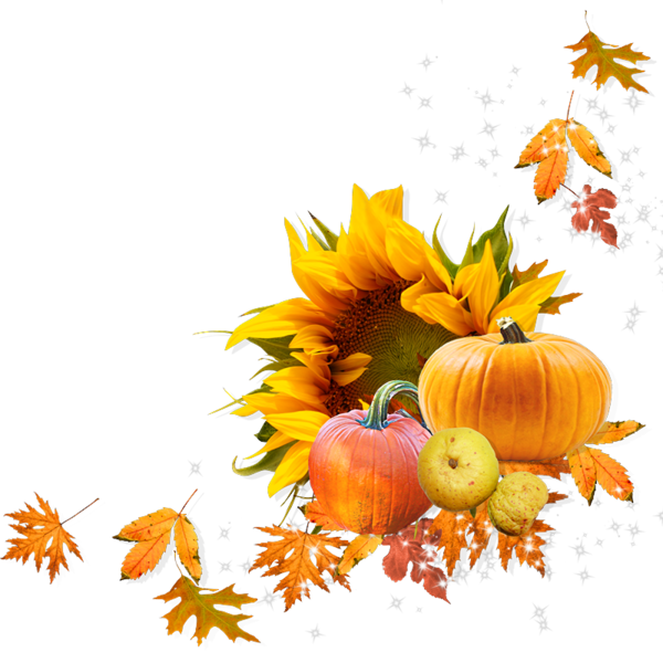Transparent Pumpkin Calabaza Winter Squash Flower for Thanksgiving
