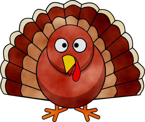 Transparent Turkey Meat Thanksgiving Wild Turkey Cartoon Turkey for Thanksgiving
