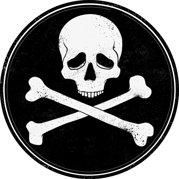 Transparent Skull And Crossbones Skull Tshirt Bone for Halloween