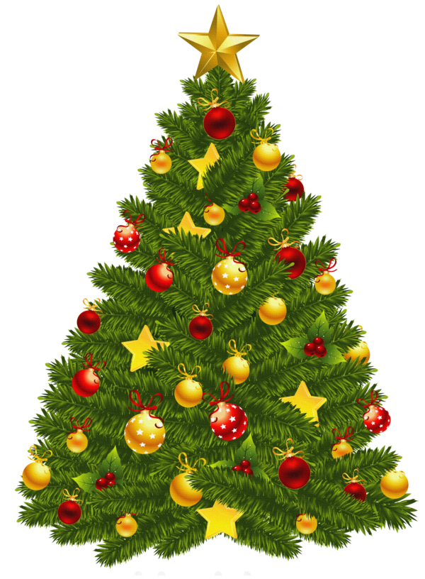 Transparent Christmas Tree
 Christmas
 Christmas Ornament
 Fir Evergreen for Thanksgiving