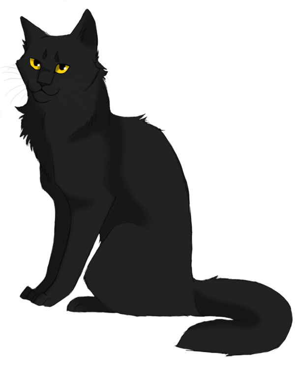 Transparent Cat Warriors Stormfur Black Cat for Halloween