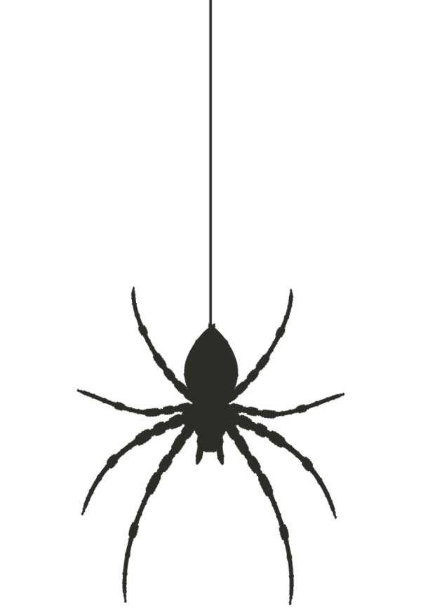 Transparent Widow Spiders Spider Book Illustration Arachnid for Halloween