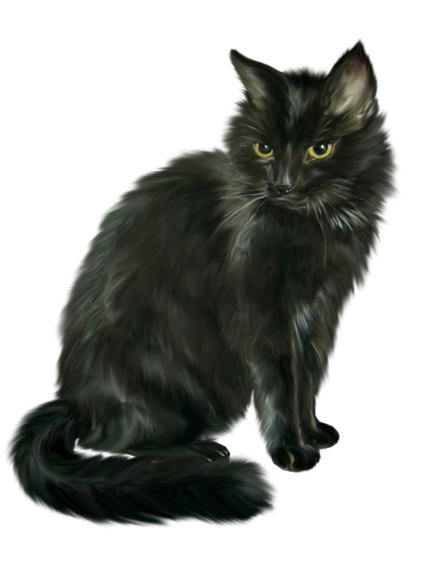 Transparent Siamese Cat Black Cat Halloween Nebelung Norwegian Forest Cat for Halloween