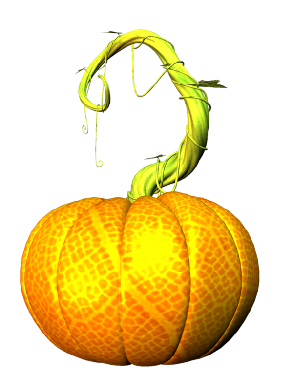 Transparent Pumpkin Calabaza Winter Squash Fruit Food for Halloween