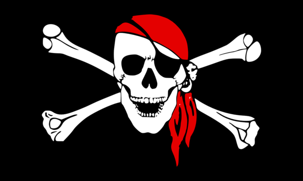 Transparent United States Jolly Roger Flag Skeleton Skull for Halloween