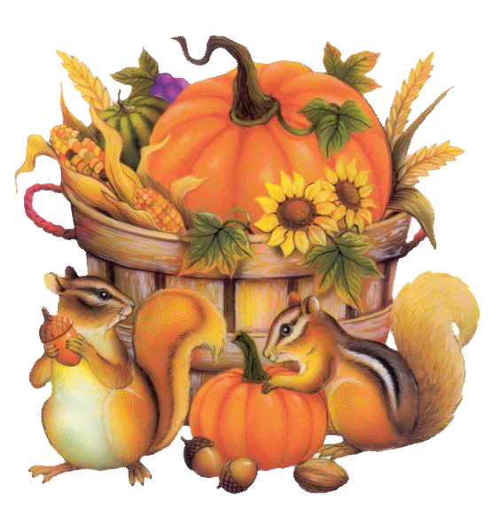 Transparent Autumn Tenor Season Fruit Cucurbita for Thanksgiving