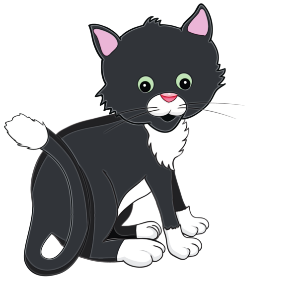 Transparent Cat Cartoon Small To Mediumsized Cats for Halloween