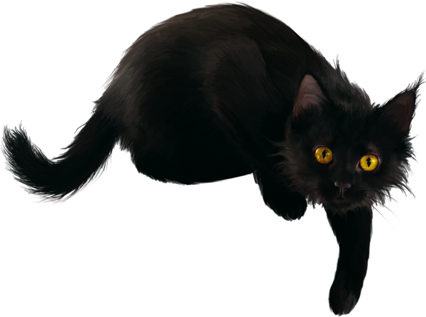 Transparent Cat Kitten Black Cat Snout Fur for Halloween