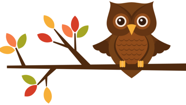 Transparent Owl Tawny Owl Bird for Thanksgiving