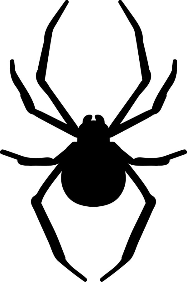 Transparent Stencil Spider Drawing Black And White Insect for Halloween